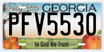 GA license plate PFV5530