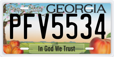 GA license plate PFV5534