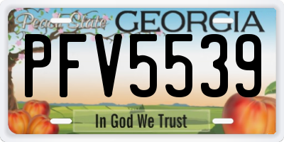 GA license plate PFV5539