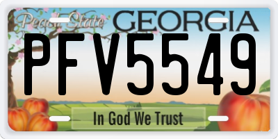 GA license plate PFV5549