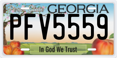 GA license plate PFV5559