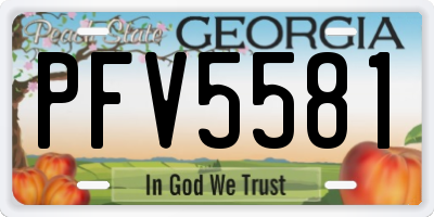 GA license plate PFV5581