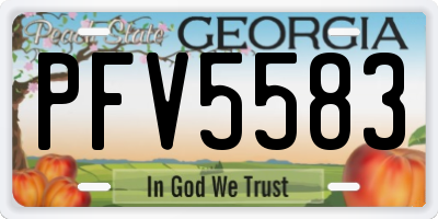 GA license plate PFV5583