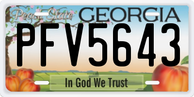 GA license plate PFV5643