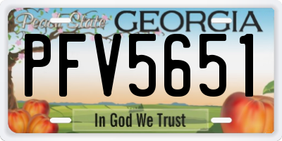 GA license plate PFV5651