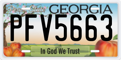 GA license plate PFV5663