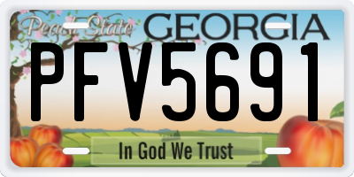 GA license plate PFV5691