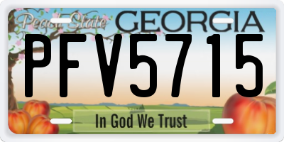 GA license plate PFV5715