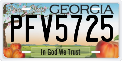 GA license plate PFV5725