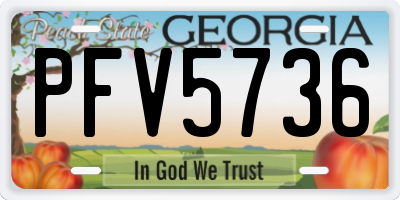 GA license plate PFV5736