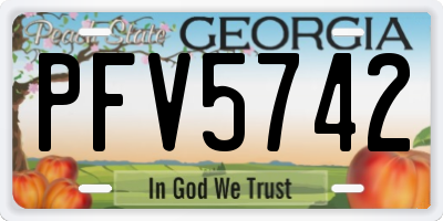 GA license plate PFV5742