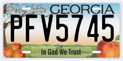 GA license plate PFV5745