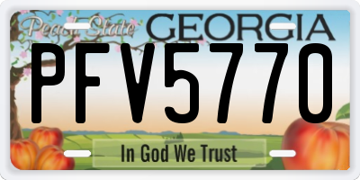 GA license plate PFV5770
