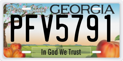 GA license plate PFV5791