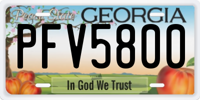 GA license plate PFV5800