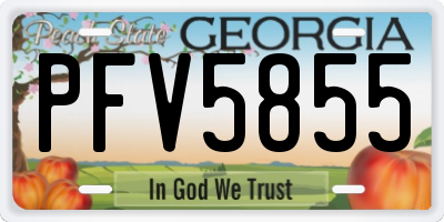 GA license plate PFV5855