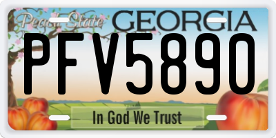 GA license plate PFV5890
