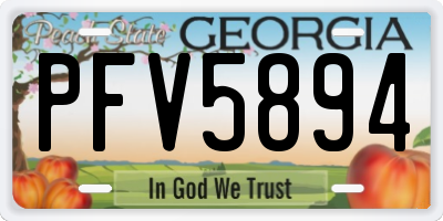 GA license plate PFV5894
