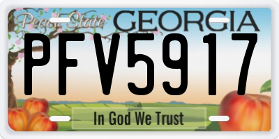 GA license plate PFV5917