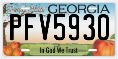 GA license plate PFV5930