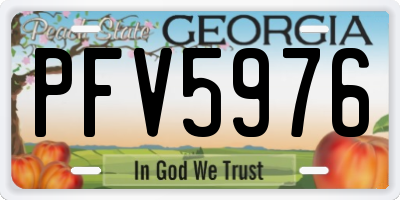 GA license plate PFV5976