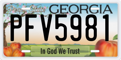 GA license plate PFV5981