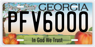 GA license plate PFV6000