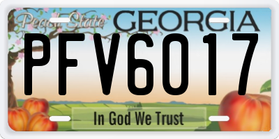 GA license plate PFV6017