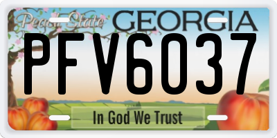 GA license plate PFV6037