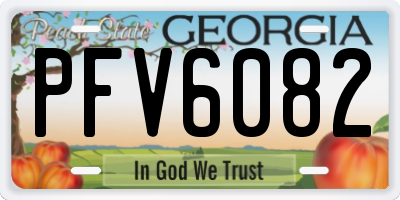 GA license plate PFV6082