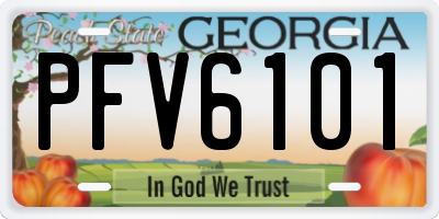 GA license plate PFV6101