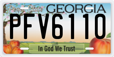 GA license plate PFV6110