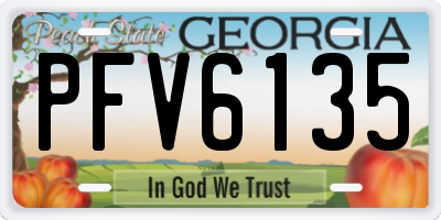 GA license plate PFV6135