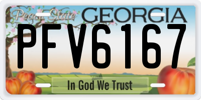 GA license plate PFV6167