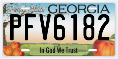 GA license plate PFV6182