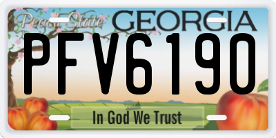 GA license plate PFV6190