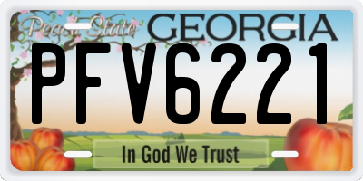 GA license plate PFV6221