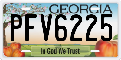 GA license plate PFV6225
