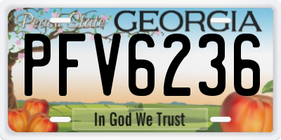 GA license plate PFV6236