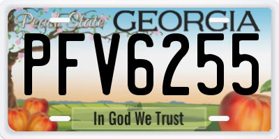 GA license plate PFV6255