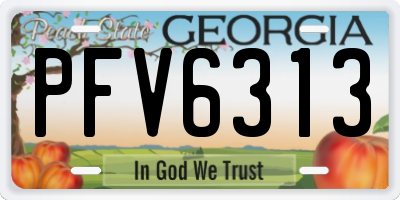 GA license plate PFV6313