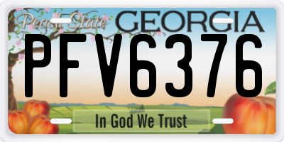 GA license plate PFV6376