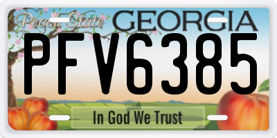 GA license plate PFV6385