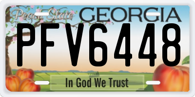 GA license plate PFV6448