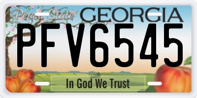 GA license plate PFV6545