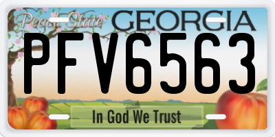 GA license plate PFV6563