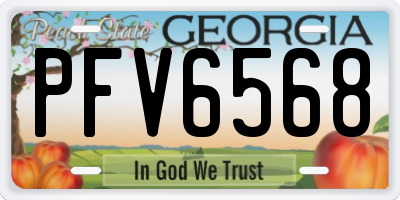 GA license plate PFV6568