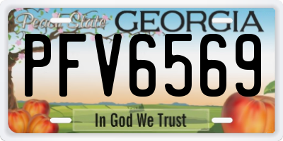 GA license plate PFV6569