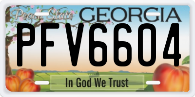 GA license plate PFV6604