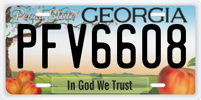 GA license plate PFV6608